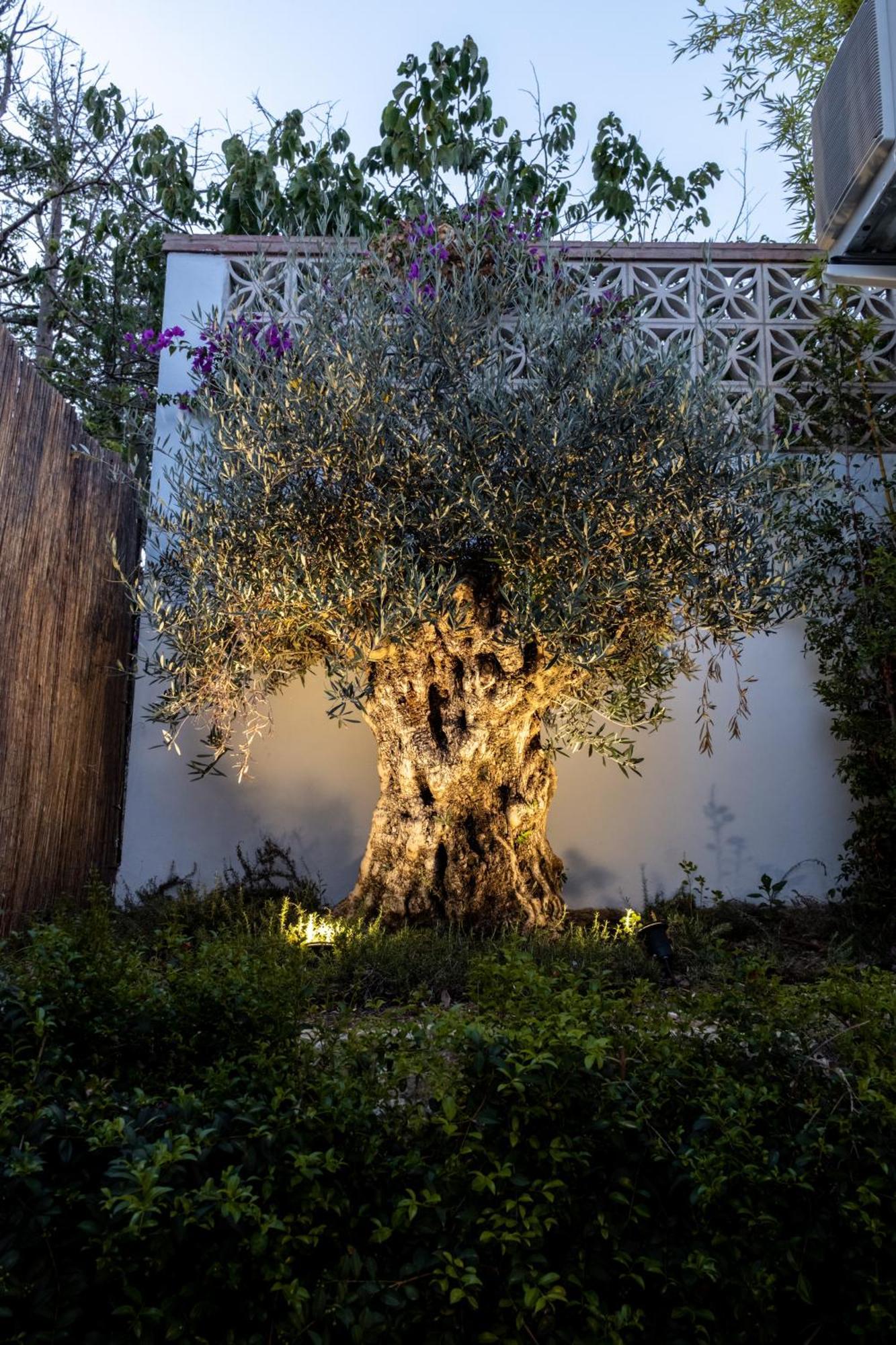Hotel Casa Bodhi Boutique & Marbella